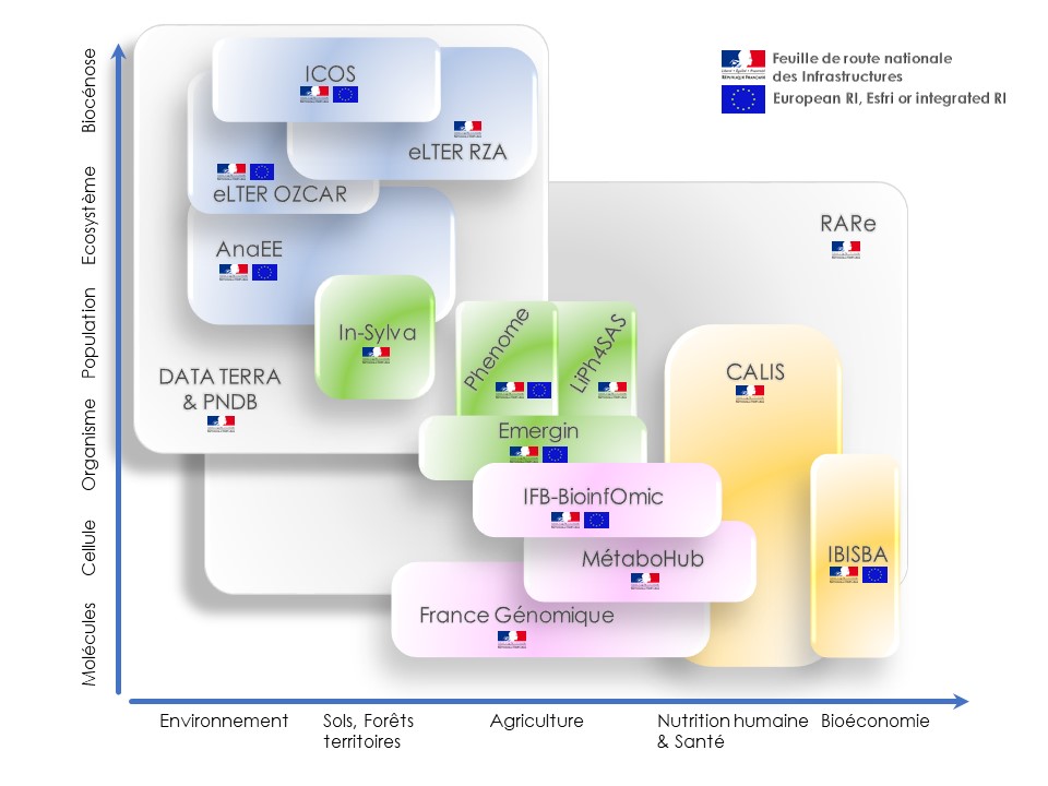 Schéma IR nationales impliquant INRAE-juin 2022