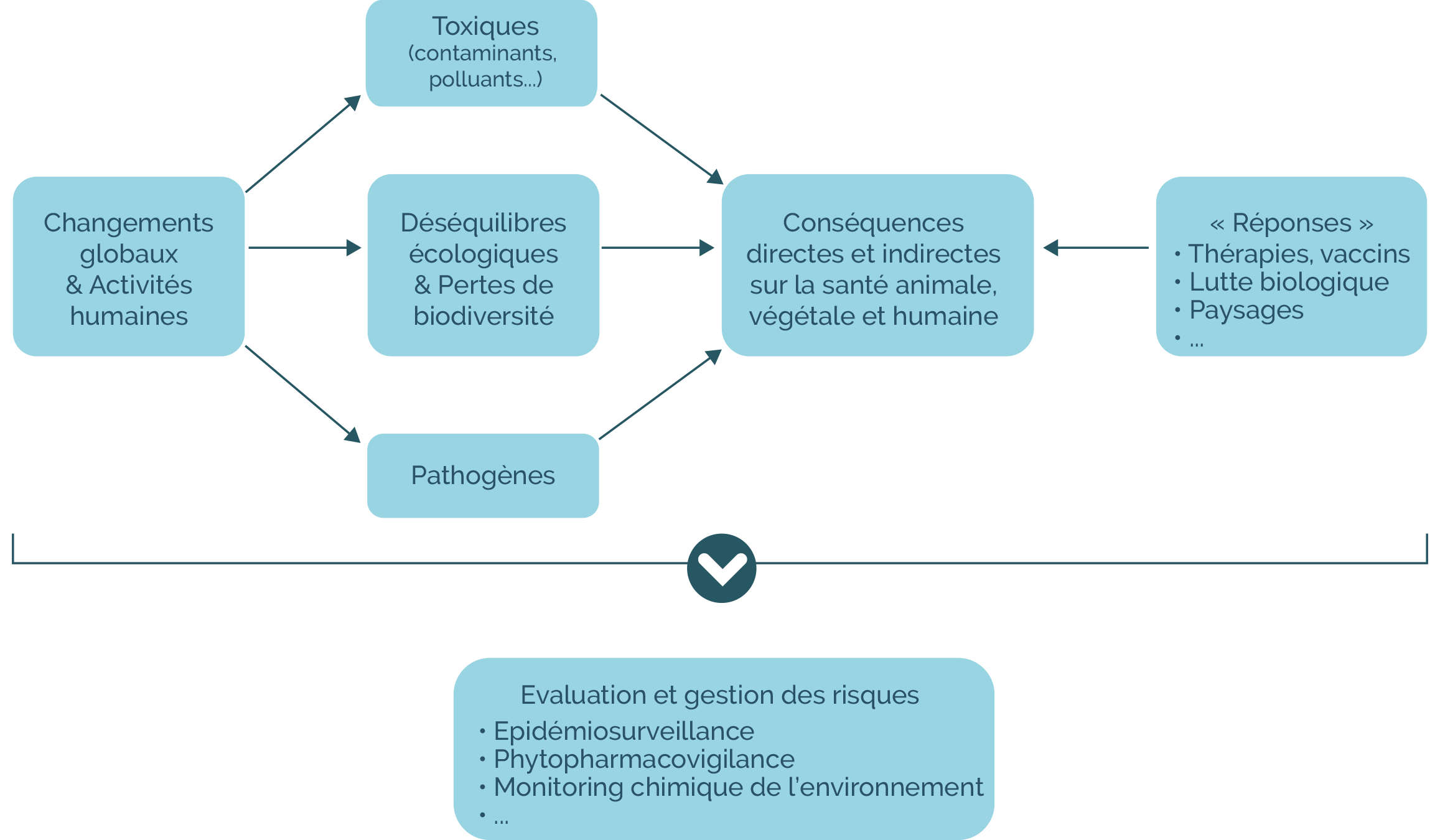 Afficher l'infographie en grand