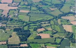 Accéder à l'article "La structure du paysage, alliée de la lutte naturelle contre les ravageurs "