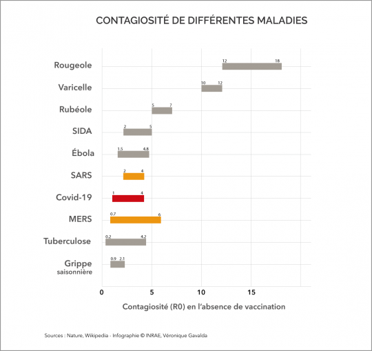 Afficher l'infographie sur la dynamique de contagion du Covid