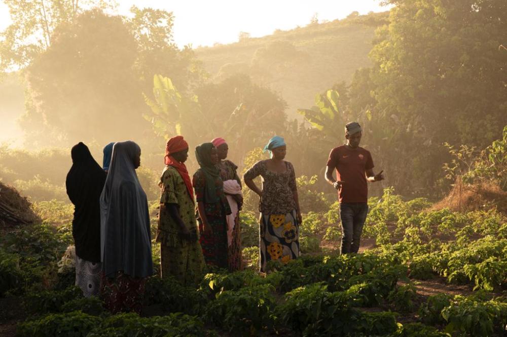TSARA international initiative