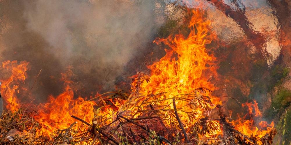 Case 1: Managing growing wildfire risks