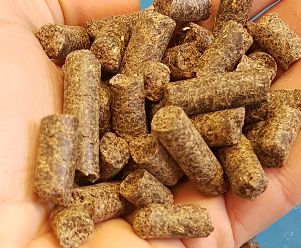 Oléoinnov transforme les déchets agricoles en molécules d'intérêt