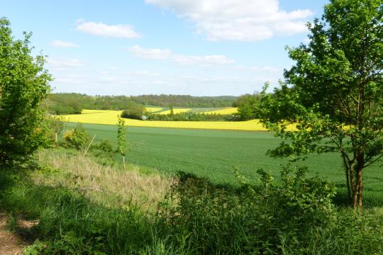 Une agriculture européenne sans pesticides en 2050 ?